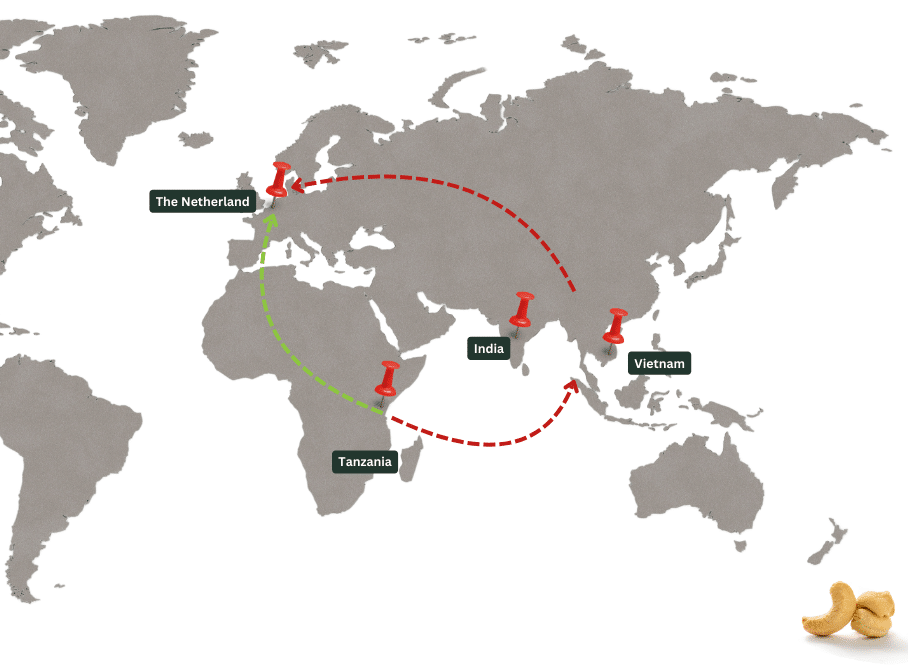 World map showing cashew supply chain from Tanzania to the Netherlands, India, and Vietnam