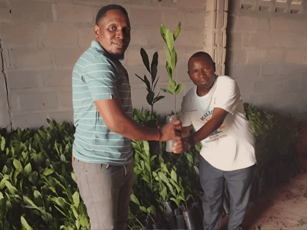Cashew seedlings being distributed to farmers as part of the project