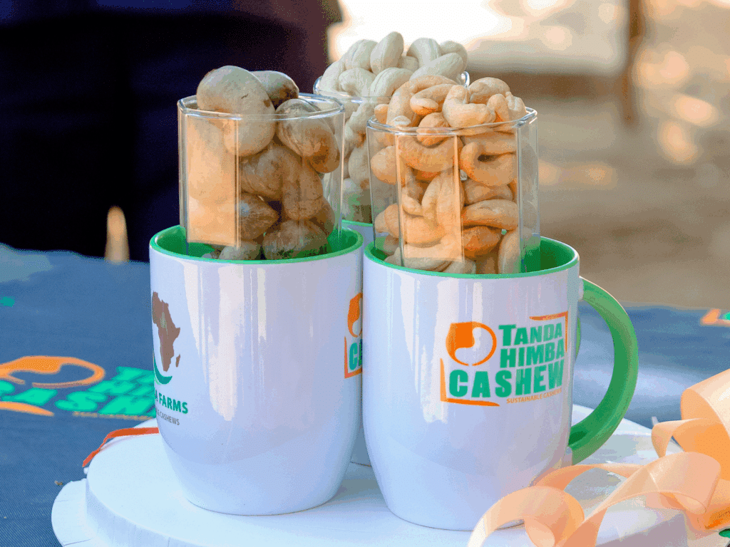 Locally processed cashews on display at the Tanzania project launch