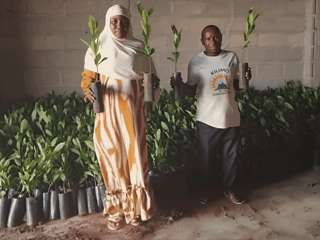 Supporting farmers with cashew seedlings to renew and improve their production